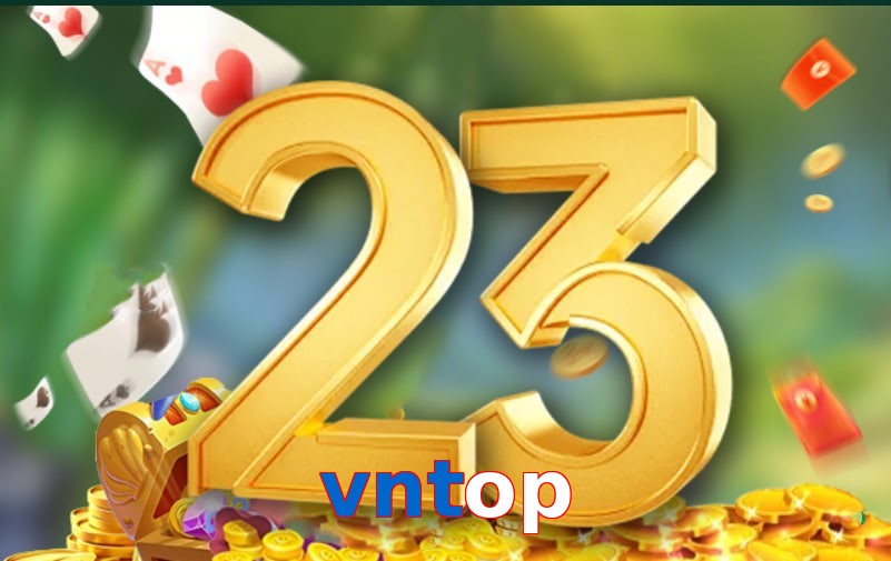 vntop